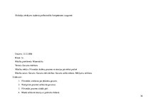 Prakses atskaite 'Aktīvā mācību audzināšanas prakse sākumskolā', 36.