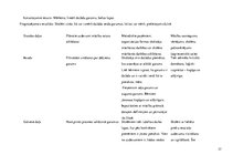 Prakses atskaite 'Aktīvā mācību audzināšanas prakse sākumskolā', 37.