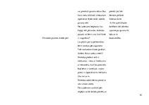 Prakses atskaite 'Aktīvā mācību audzināšanas prakse sākumskolā', 38.