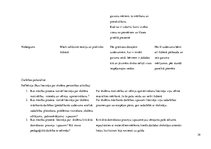 Prakses atskaite 'Aktīvā mācību audzināšanas prakse sākumskolā', 39.