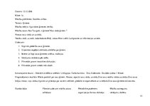 Prakses atskaite 'Aktīvā mācību audzināšanas prakse sākumskolā', 41.