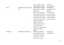 Prakses atskaite 'Aktīvā mācību audzināšanas prakse sākumskolā', 42.