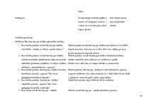 Prakses atskaite 'Aktīvā mācību audzināšanas prakse sākumskolā', 44.