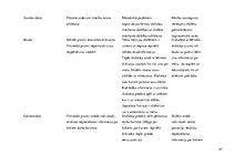 Prakses atskaite 'Aktīvā mācību audzināšanas prakse sākumskolā', 47.