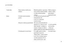Prakses atskaite 'Aktīvā mācību audzināšanas prakse sākumskolā', 55.