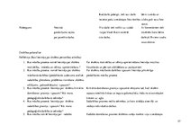 Prakses atskaite 'Aktīvā mācību audzināšanas prakse sākumskolā', 57.