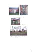 Referāts 'Otaņķu pagasta kultūrvēsturiskie objekti un dabas vērtības', 9.