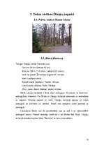 Referāts 'Otaņķu pagasta kultūrvēsturiskie objekti un dabas vērtības', 10.