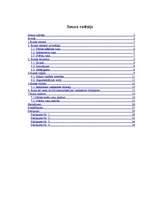 Referāts 'Runas rakstīšanas process', 1.