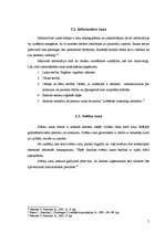 Referāts 'Runas rakstīšanas process', 5.