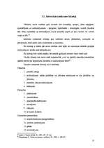 Referāts 'Runas rakstīšanas process', 11.