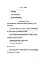 Referāts 'Runas rakstīšanas process', 14.