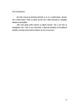 Referāts 'Runas rakstīšanas process', 23.