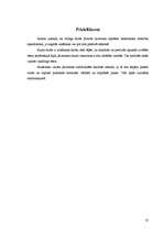 Referāts 'Runas rakstīšanas process', 25.