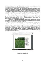 Referāts 'Juglas ezera eitrofikācijas riska monitorings', 10.