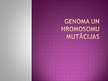 Prezentācija 'Genoma un hromosomu mutācijas', 1.
