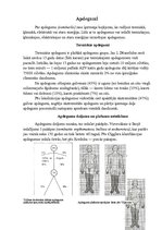 Konspekts 'Apdegumi', 2.