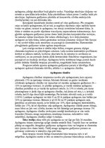 Konspekts 'Apdegumi', 7.