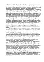 Konspekts 'Apdegumi', 8.