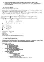 Konspekts 'Eiropas Savienības ieskaites jautājumu atbildes', 11.