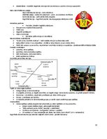 Konspekts 'Sociālā psiholoģija 1', 19.