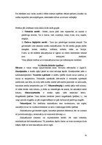 Referāts 'Fizikālās materiālzinības', 14.