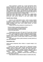 Konspekts 'Divu valstu salīdzinājums - Austrija un Dānija', 2.