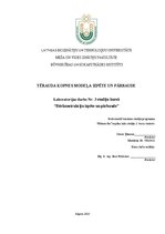 Konspekts 'TĒRAUDA KOPNES MODEĻA IZPĒTE UN PĀRBAUDE', 1.