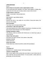 Paraugs 'Zila debess zelta mākoņos', 2.