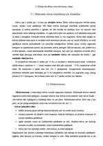 Referāts 'Elektrodrošība', 11.