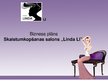 Prezentācija 'Biznesa plāns "Linda Ll"', 1.