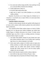 Diplomdarbs 'Laulības šķiršana un laulības neesamība Latvijas Republikā', 48.