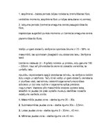 Konspekts 'Vieglatlētika - garās distances', 6.