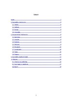 Konspekts 'Automobiļu virsbūvju tipi, to īpatnības un izmantošana', 3.