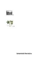 Konspekts 'Senās Ēģiptes augu kultūra', 4.