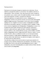 Referāts 'Upju un pludmaļu piesārņojums ar plastmasas atkritumiem', 4.