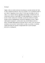 Referāts 'Upju un pludmaļu piesārņojums ar plastmasas atkritumiem', 7.