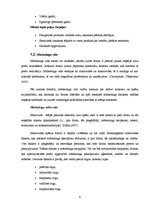 Referāts 'Jauna produkta ieviešana telekomunikāciju uzņēmumā "Optronic"', 9.