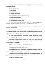 Referāts 'Jauna produkta ieviešana telekomunikāciju uzņēmumā "Optronic"', 12.