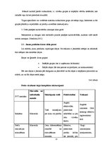 Referāts 'Jauna produkta ieviešana telekomunikāciju uzņēmumā "Optronic"', 13.