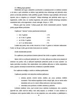 Referāts 'Jauna produkta ieviešana telekomunikāciju uzņēmumā "Optronic"', 19.