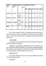 Referāts 'Jauna produkta ieviešana telekomunikāciju uzņēmumā "Optronic"', 24.