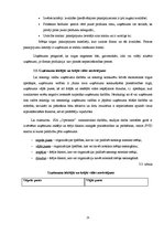 Referāts 'Jauna produkta ieviešana telekomunikāciju uzņēmumā "Optronic"', 25.