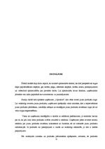 Referāts 'Jauna produkta ieviešana telekomunikāciju uzņēmumā "Optronic"', 31.