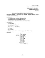 Paraugs 'Šķidruma viskozitātes koeficienta noteikšana ar Stoksa metodi', 1.