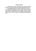 Konspekts 'Templiešu ordenis', 10.