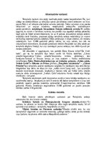 Konspekts 'Templiešu ordenis', 11.