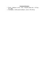 Konspekts 'Templiešu ordenis', 12.