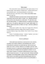 Referāts 'Balvu rajona tūrisma produktu raksturojums', 2.