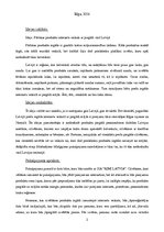 Eseja 'Biznesa idejas realizācijas pamatojums', 2.